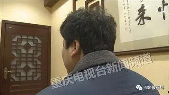 国产秦先生,探寻中国汽车工业的崛起之路